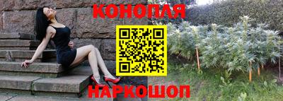 гашик Лесосибирск