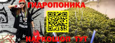 гашик Ликино-Дулёво