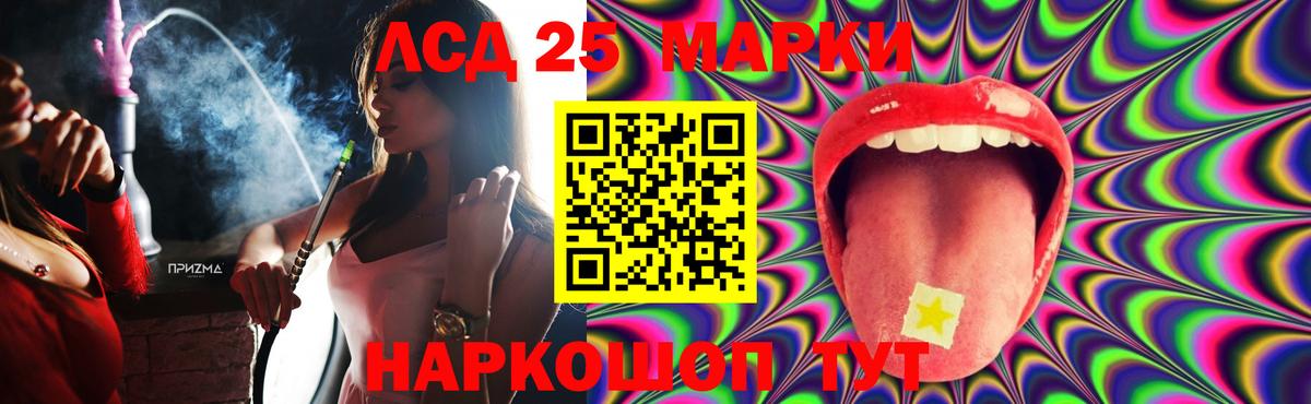 Codein Гатчина