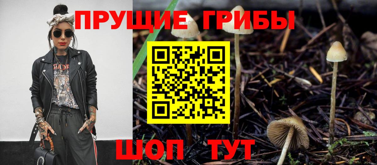 Псилоцибиновые грибы Psilocybine cubensis  Вход с VPN  Гатчина  Галлюциногенные грибы Psilocybine cubensis 