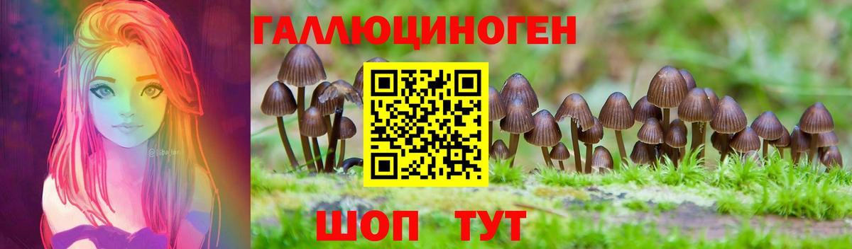 Псилоцибиновые грибы MAGIC MUSHROOMS Гатчина
